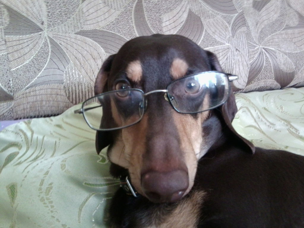 Павел Репин