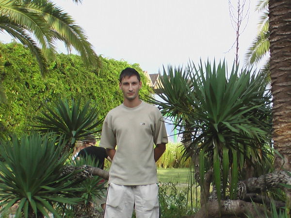 Алексей Плужников