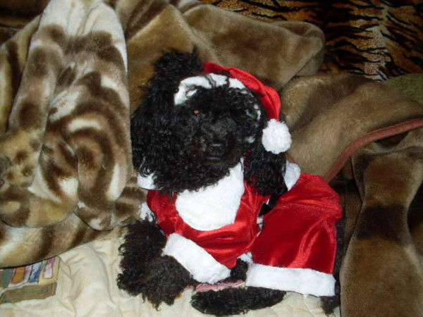 111Qasdasd Коротнева