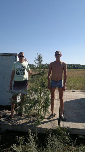 Станислав Макеев