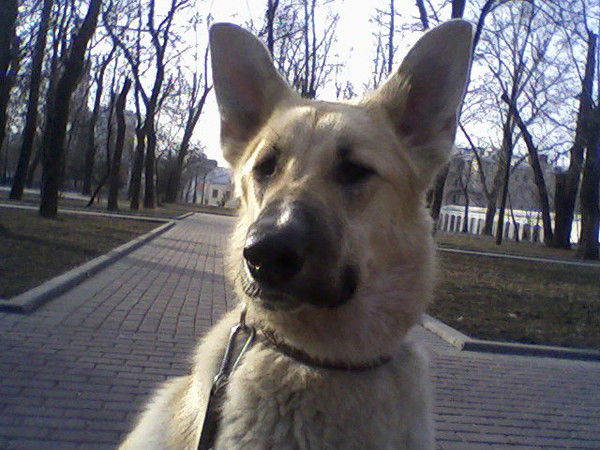 Наталья Наталья