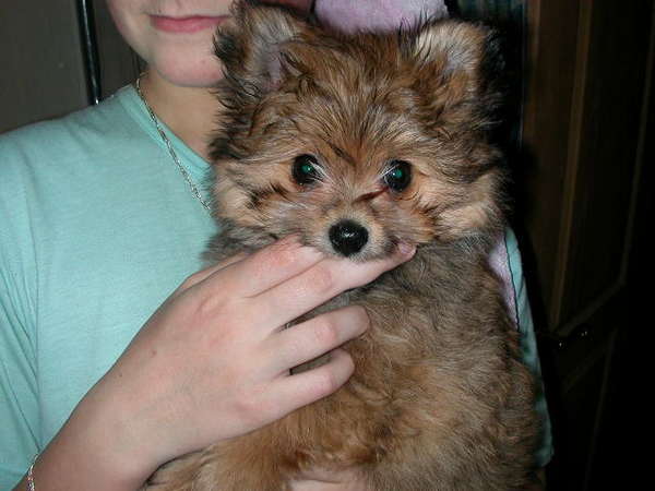 Ольга Дубинина