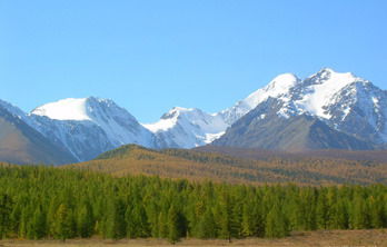 Армия Рамазанова