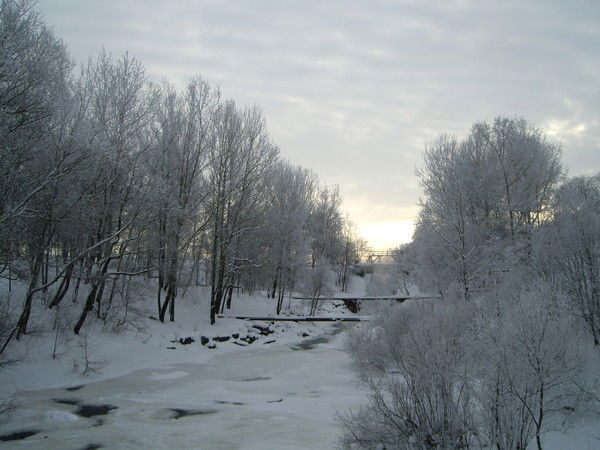 Вячеслав Полуэктов