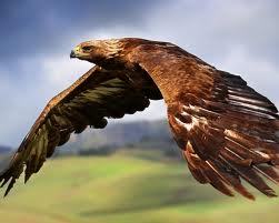 Иван Пятков