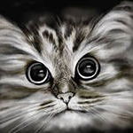 Liza Бобылёва