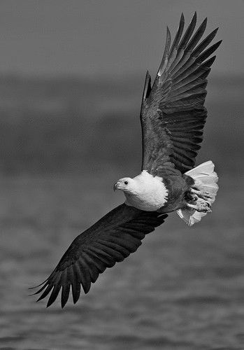 Игорь Голенков