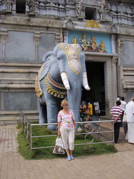 Алла Шубенко