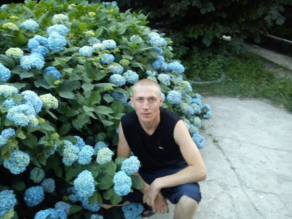 Андрей Светиков