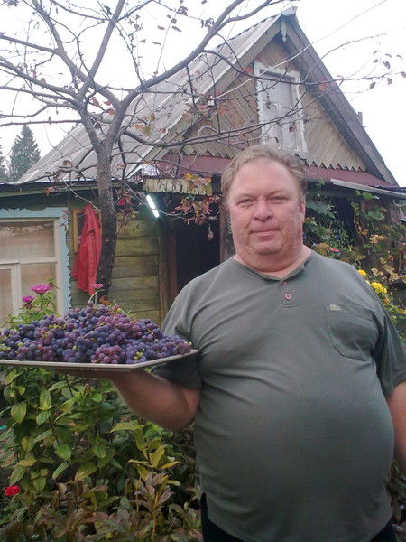 Владимир Наугольных