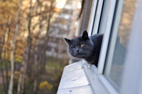 Оксана Ларионова