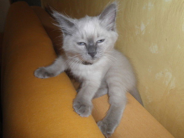 Марина Данилина