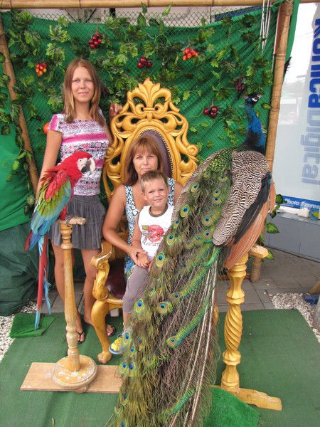 Елена Шибаева