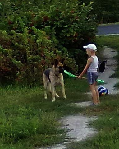 Евгений Васильевич Черников