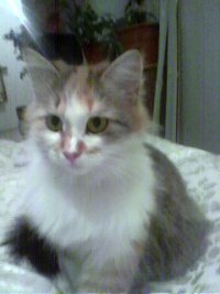 Наталья Гончарова