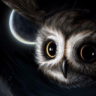 Юлия Шапорова