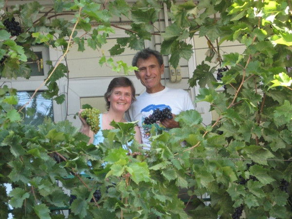 Ruth-Alison Backhouse