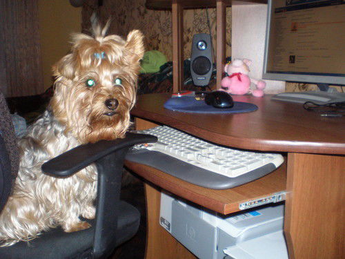 Иван Степовой