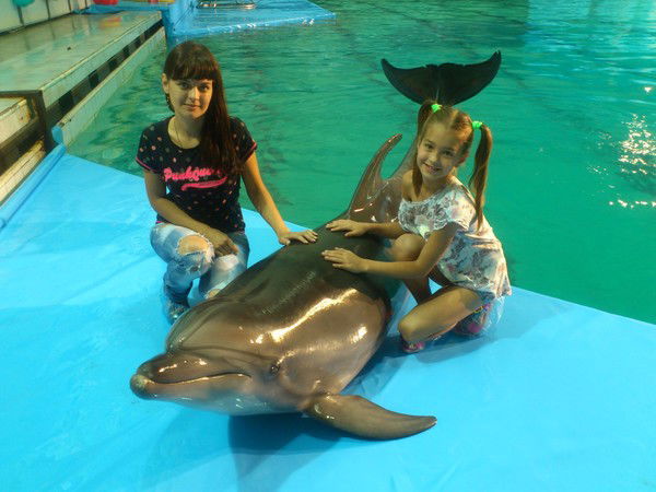 Дашка Ромашка