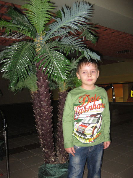 Гоша Сокольников