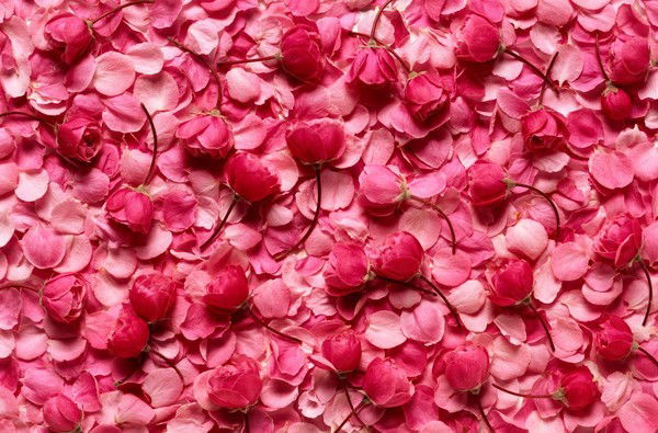 Гласс Дизайн