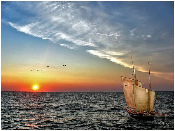 Неизвестно Неизвестно