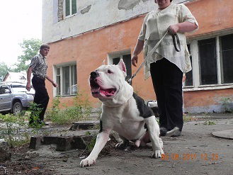 Евгения Терехова