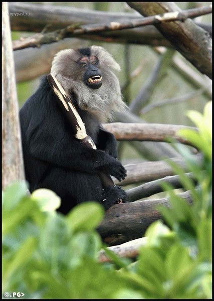 Вячеслав Хураев