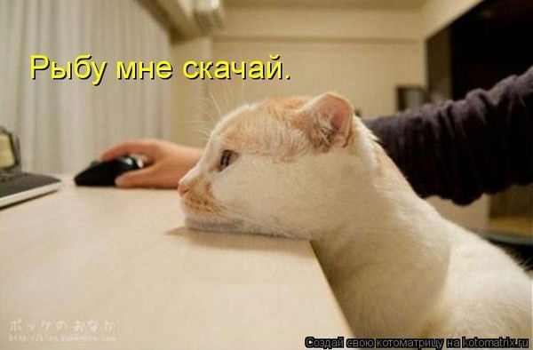 Сергей Пеньков(Бик 1К+)