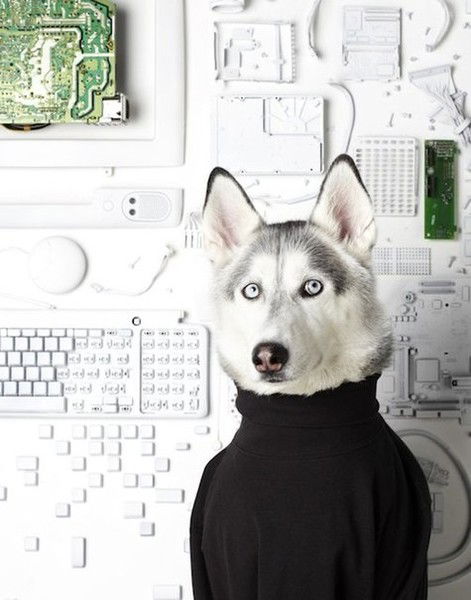 Дмитрий Попов