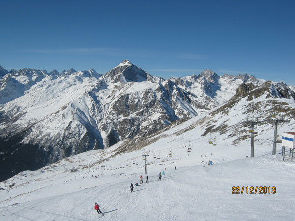 Елена Колтакова