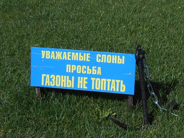 Елена Булатова