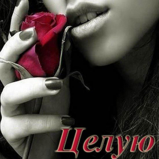 Саида Ахмедова