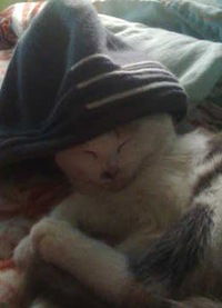 Вадим Кабалин