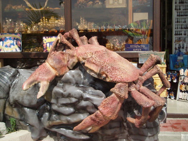 Екатерина Сбитнева