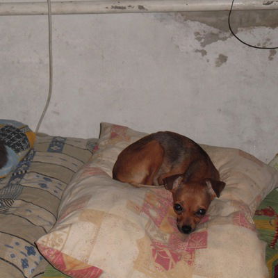 Стефани Анонимно