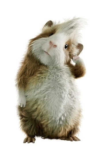 Зораб Меметов