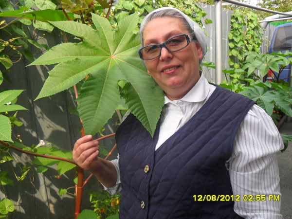 Ирина Чупина