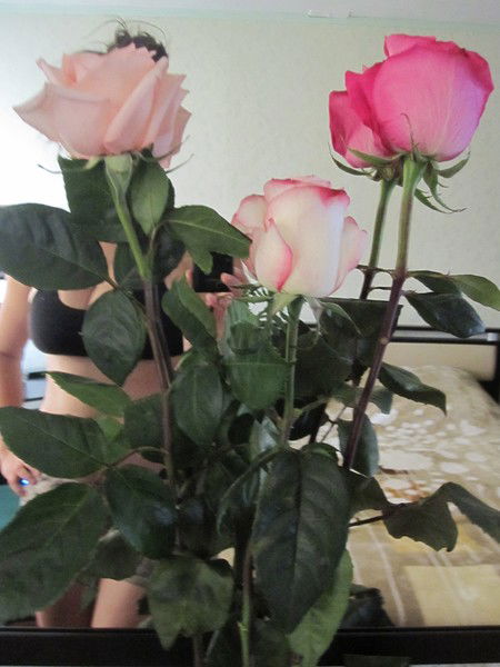 Елена Рассказова