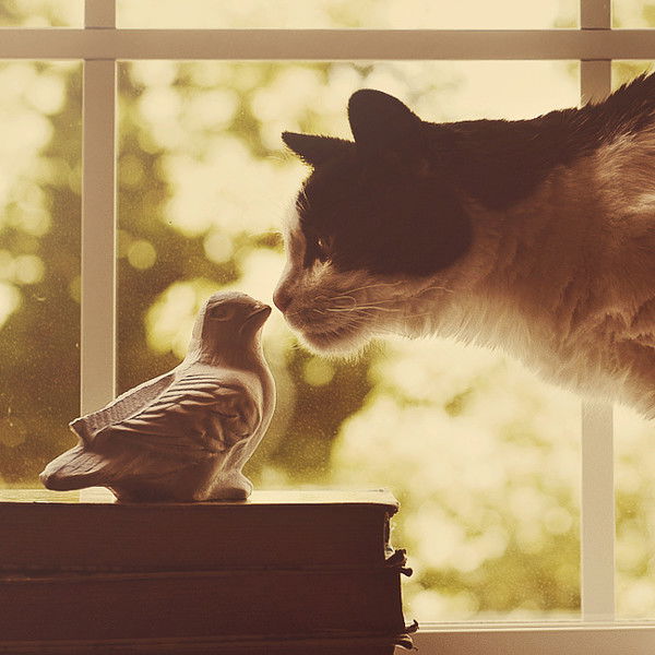 Павел Белов