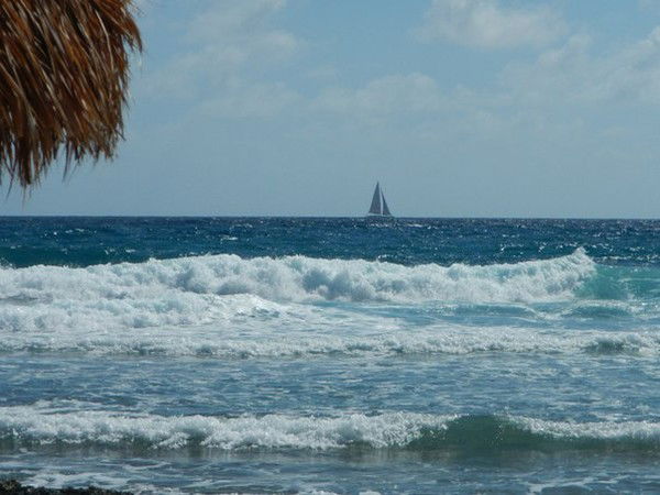 Елена Карпова