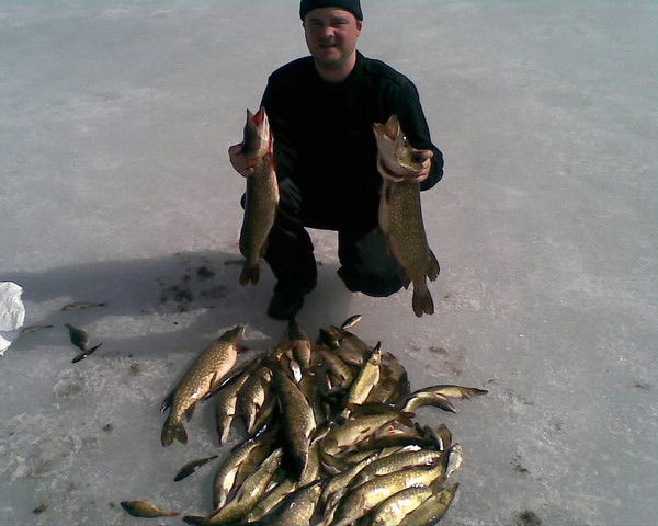 Дмитрий Барков