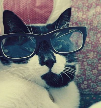 Никита Пузырёв