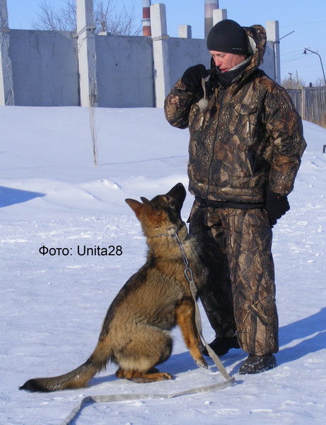 Александр Кравцов