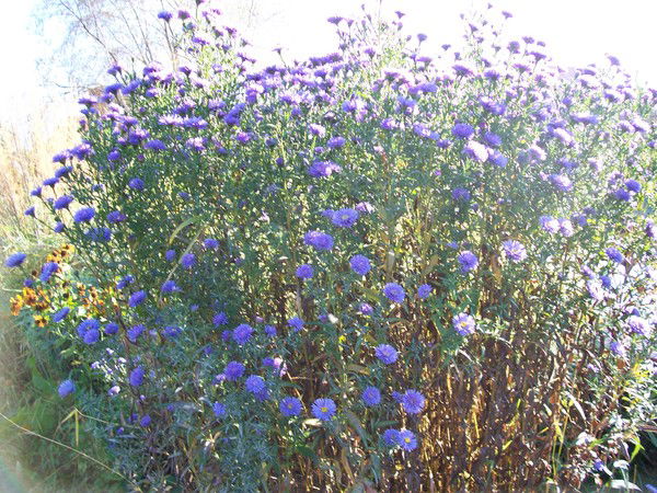 Надежда Федюк