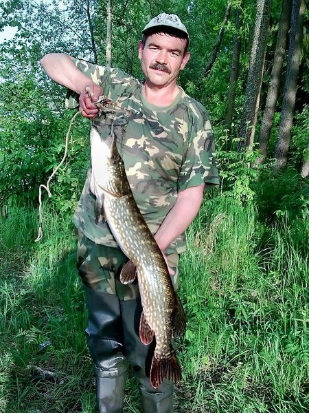 Сергей Толстик