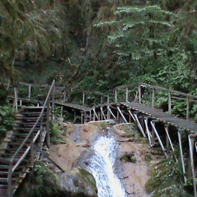 Сергей Горин