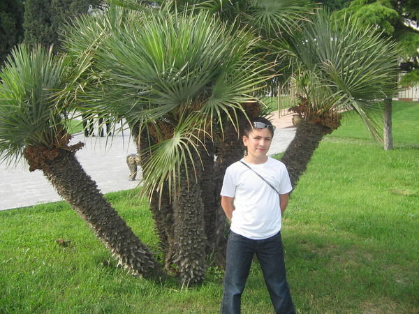 Абул Камилов