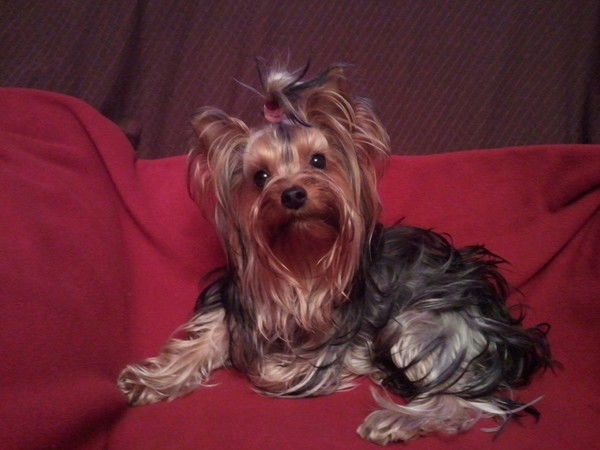 Оксана Колесова