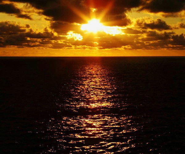 Дмитрий Колесень